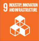 SDG 9